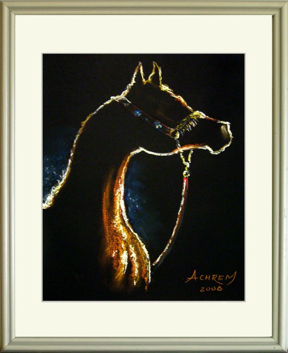 Arabian Horse 10