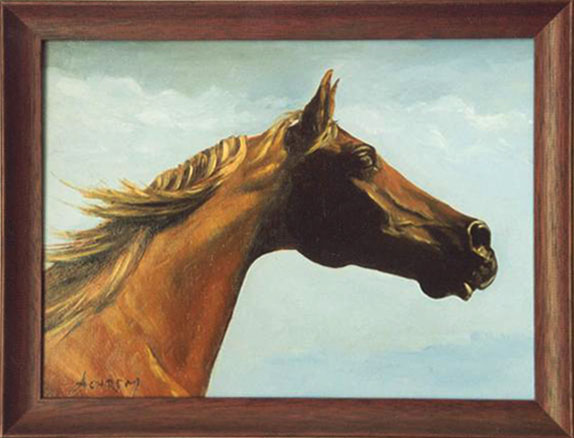 pferd 3